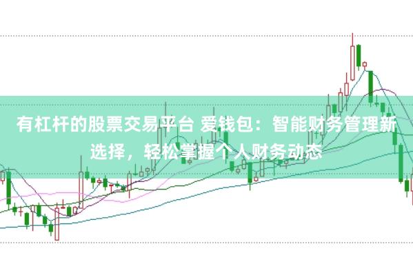 有杠杆的股票交易平台 爱钱包：智能财务管理新选择，轻松掌握个人财务动态