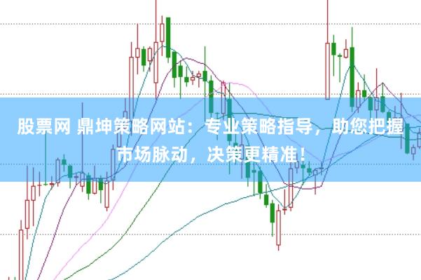 股票网 鼎坤策略网站：专业策略指导，助您把握市场脉动，决策更精准！