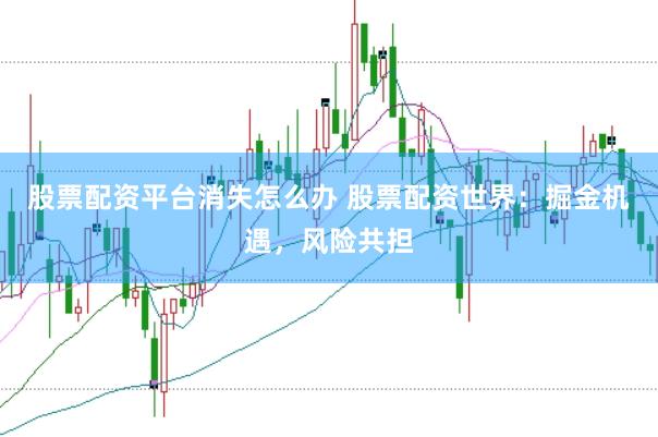 股票配资平台消失怎么办 股票配资世界：掘金机遇，风险共担