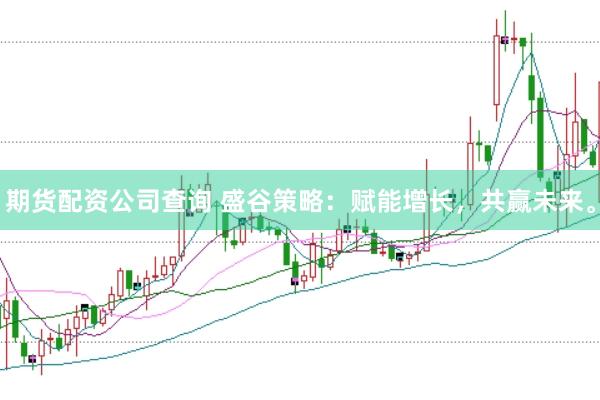 期货配资公司查询 盛谷策略：赋能增长，共赢未来。