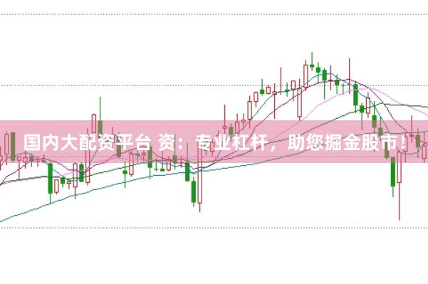 国内大配资平台 资：专业杠杆，助您掘金股市！