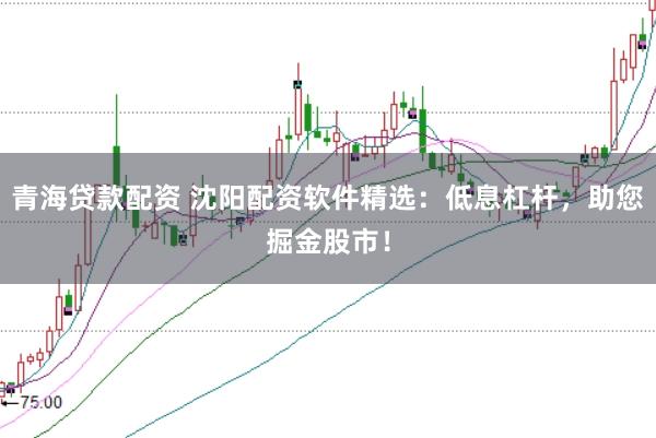 青海贷款配资 沈阳配资软件精选：低息杠杆，助您掘金股市！