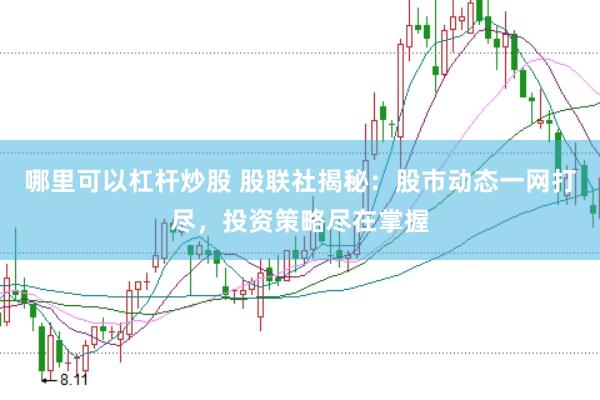 哪里可以杠杆炒股 股联社揭秘：股市动态一网打尽，投资策略尽在掌握