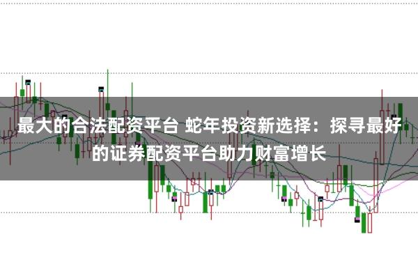 最大的合法配资平台 蛇年投资新选择：探寻最好的证券配资平台助力财富增长