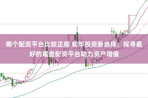 哪个配资平台比较正规 蛇年投资新选择：探寻最好的尾盘配资平台助力资产增值