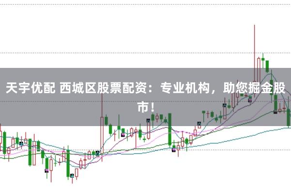 天宇优配 西城区股票配资：专业机构，助您掘金股市！