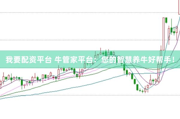 我要配资平台 牛管家平台：您的智慧养牛好帮手！