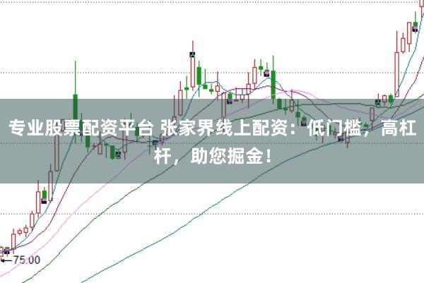专业股票配资平台 张家界线上配资：低门槛，高杠杆，助您掘金！