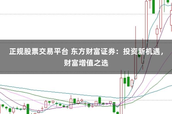 正规股票交易平台 东方财富证券:投资新机遇,财富增值之选
