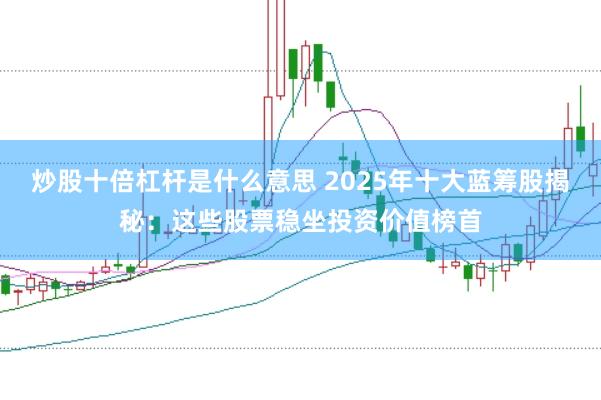 炒股十倍杠杆是什么意思 2025年十大蓝筹股揭秘：这些股票稳坐投资价值榜首