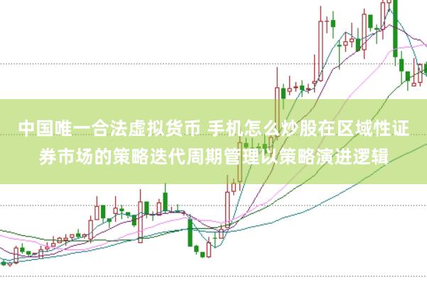 中国唯一合法虚拟货币 手机怎么炒股在区域性证券市场的策略迭代周期管理以策略演进逻辑
