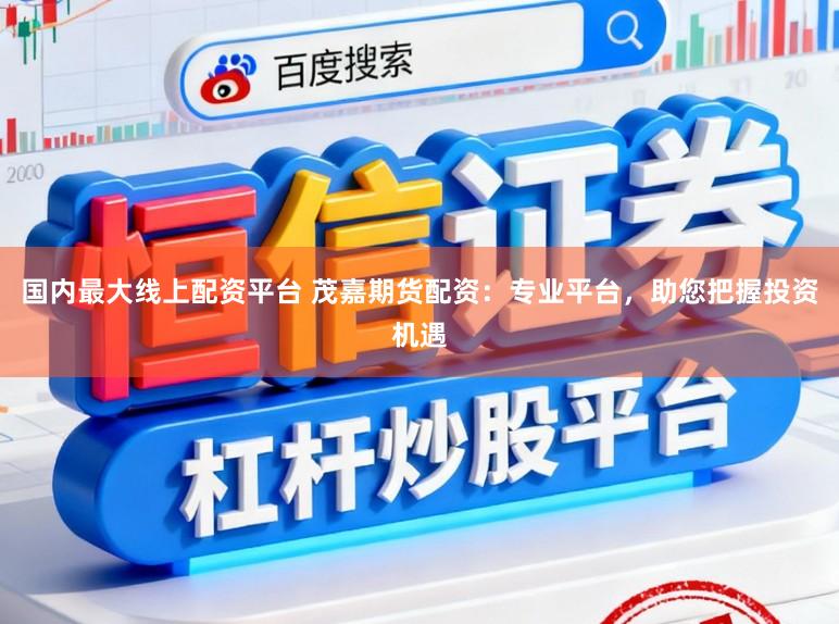 国内最大线上配资平台 茂嘉期货配资：专业平台，助您把握投资机遇